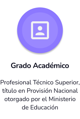 Grado Academico